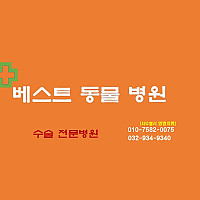 베스트 동물병원